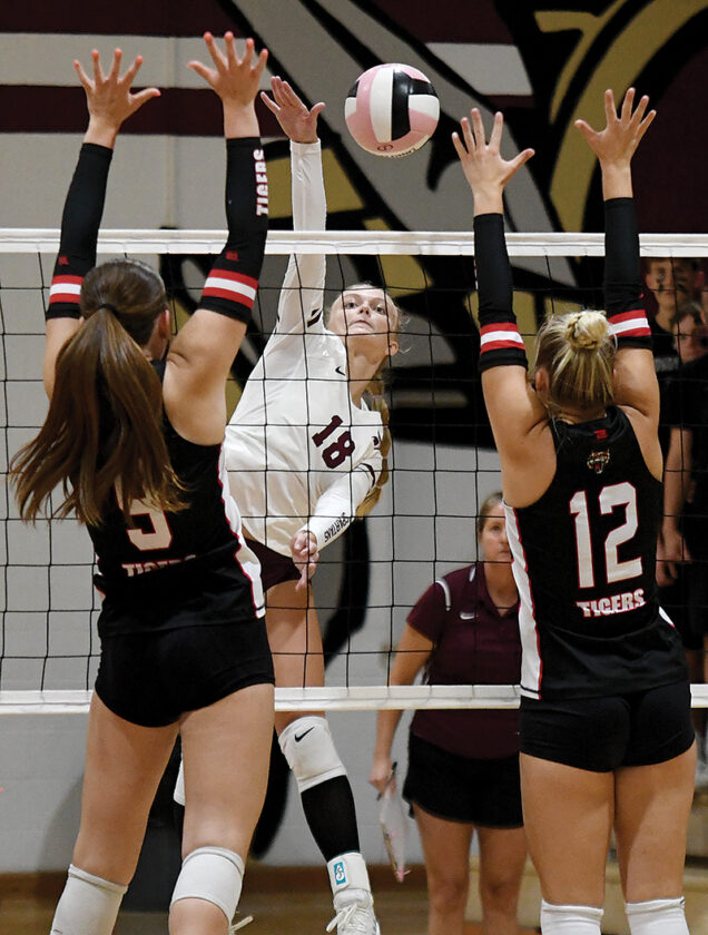 Spartans sweep aside South Hardin News, Sports, Jobs Times Republican